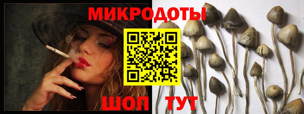 Псилоцибиновые грибы мицелий Асбест